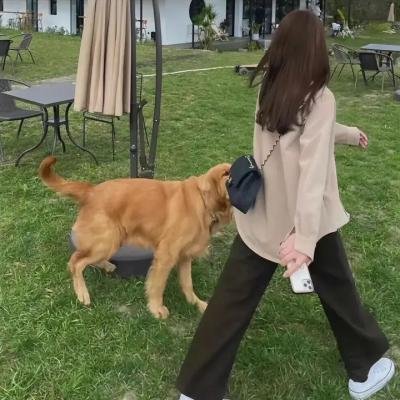 婀娜公主